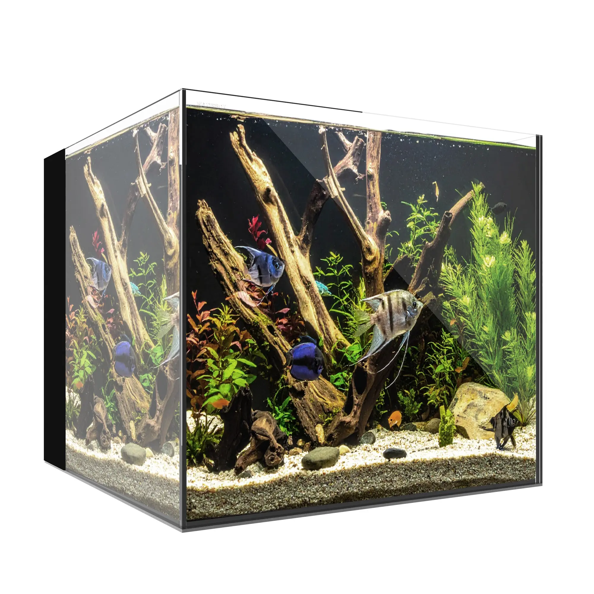 Freshwater Aquariums